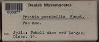 Image Associated With the Occurence